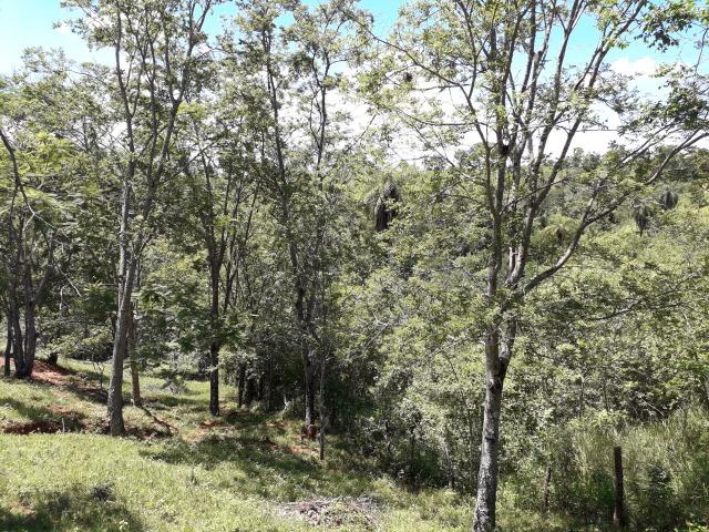 Chácara Taquaraçu de Minas *Ótima localização* - Foto 14