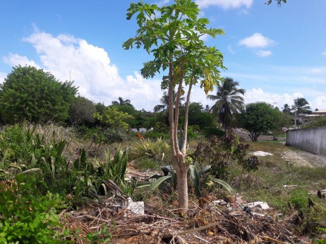 Terreno com 654m2 condominio parque do jacuipe - Foto 12