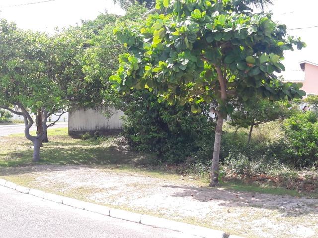 Terreno com 654m2 condominio parque do jacuipe - Foto 6