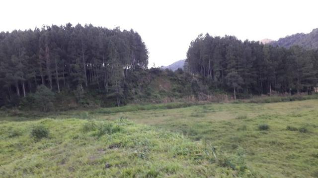 Fazenda - Foto 7