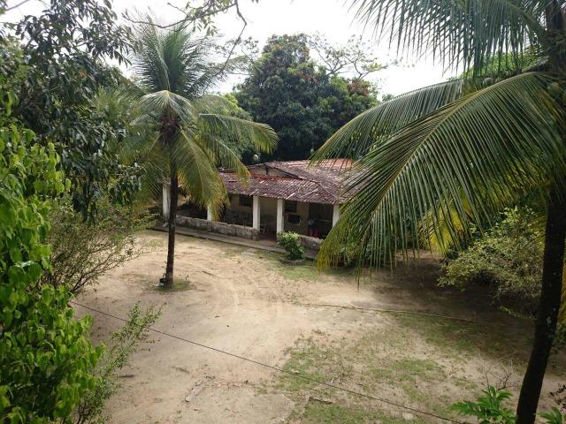 Chácara paraiso - Foto 8