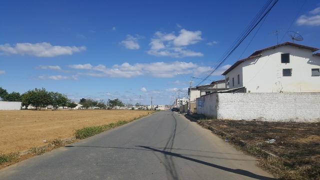 Lote 453m2, Morada dos Pássaros - Foto 5