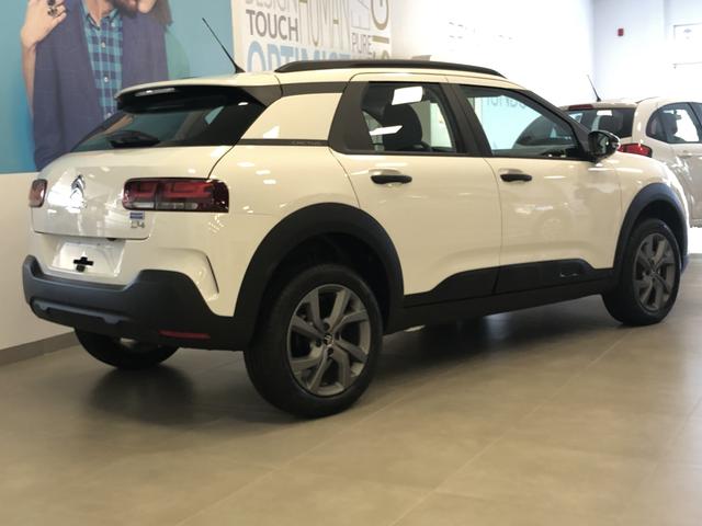 C4 Cactus - Foto 3