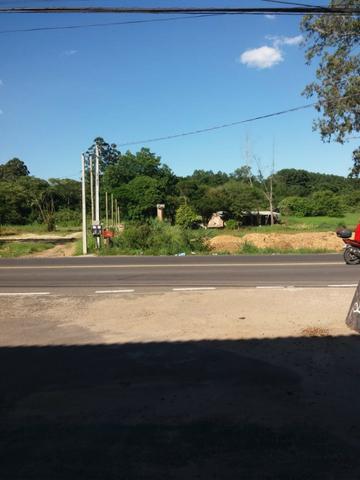 Área com 30, 60, 80 metro de frente para o asfalto entra três meninas e Gedeon leite - Foto 3