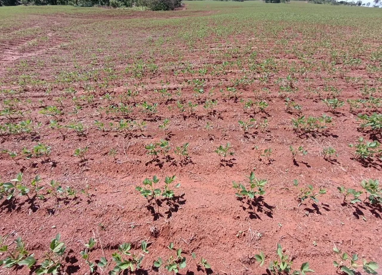 Fazenda com área para plantio - Foto 2