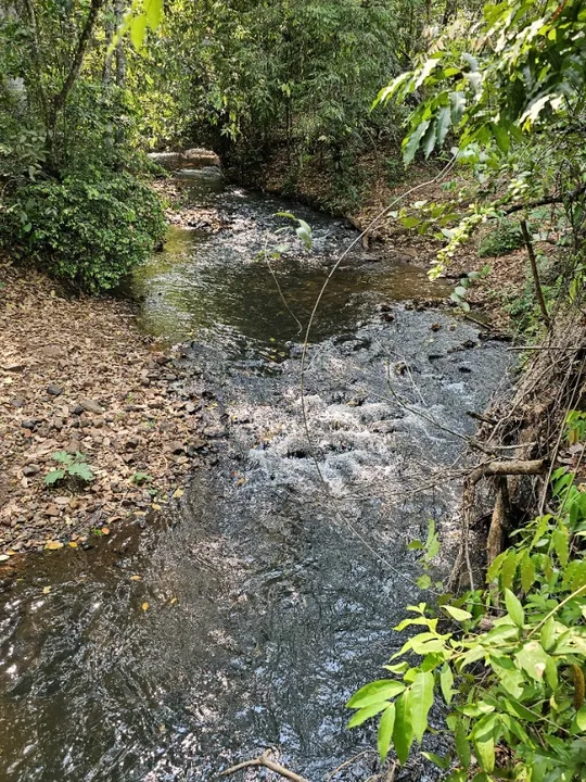 Chácara 5,9 HA com Córrego em Jaraguari-Ms! Apenas 5,5 km de Estrada de Chão!