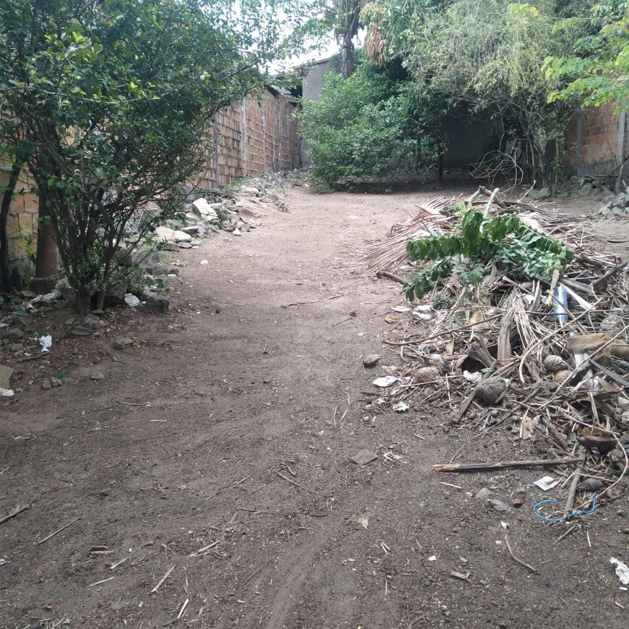 Terreno com área verde em ótima localização - Foto 3