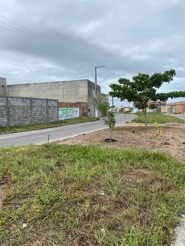 Oportunidade vendi Terreno na Av do Albano - Foto 2