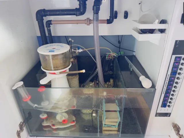 AQUARIO MARINHO COMLETO - Foto 6