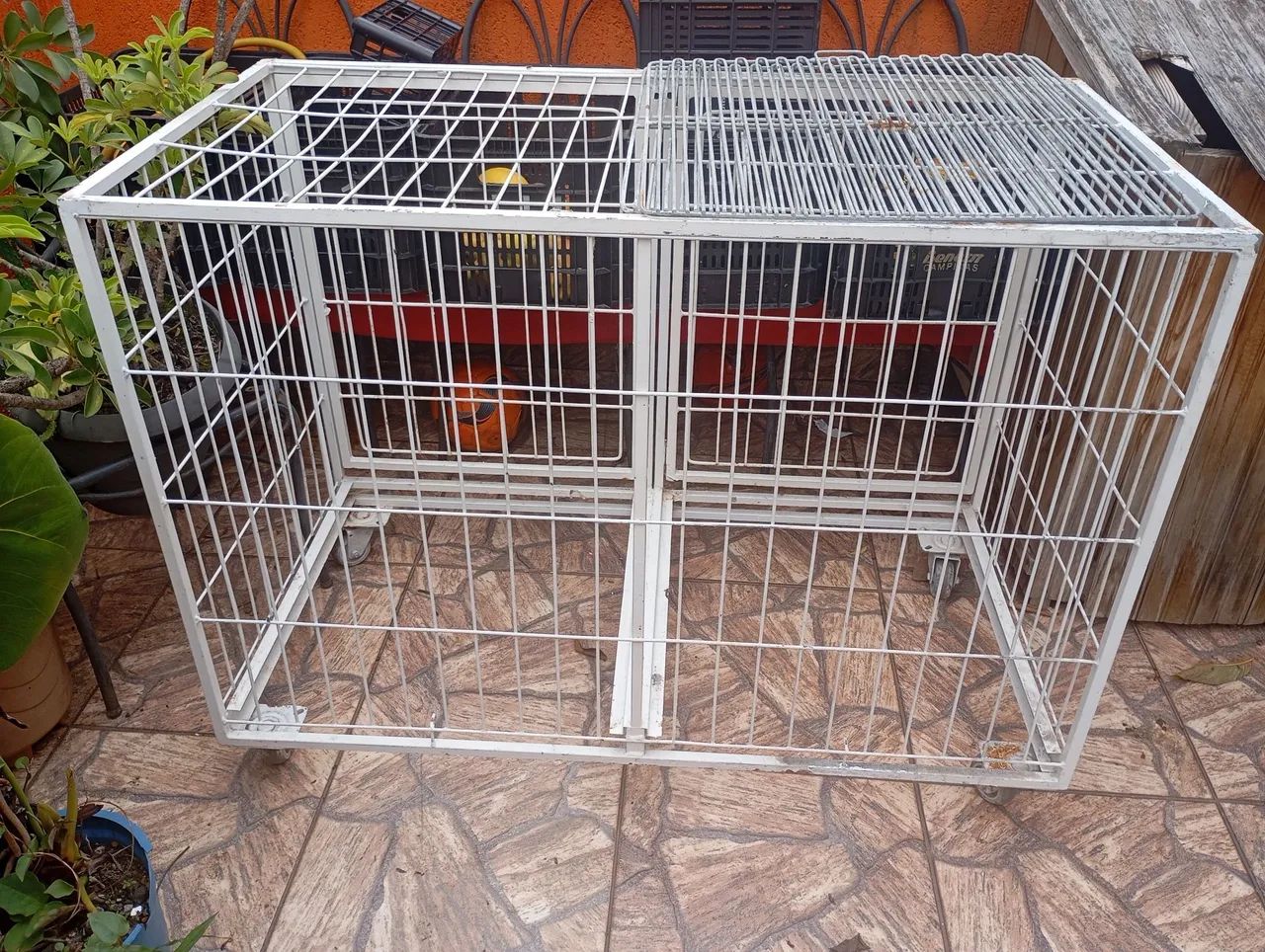 Canil grande para pet - Foto 2