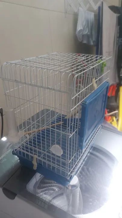 Gaiola para pássaros - Foto 2