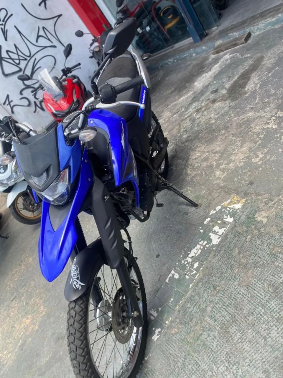 Lander 250c 2023 - Foto 4