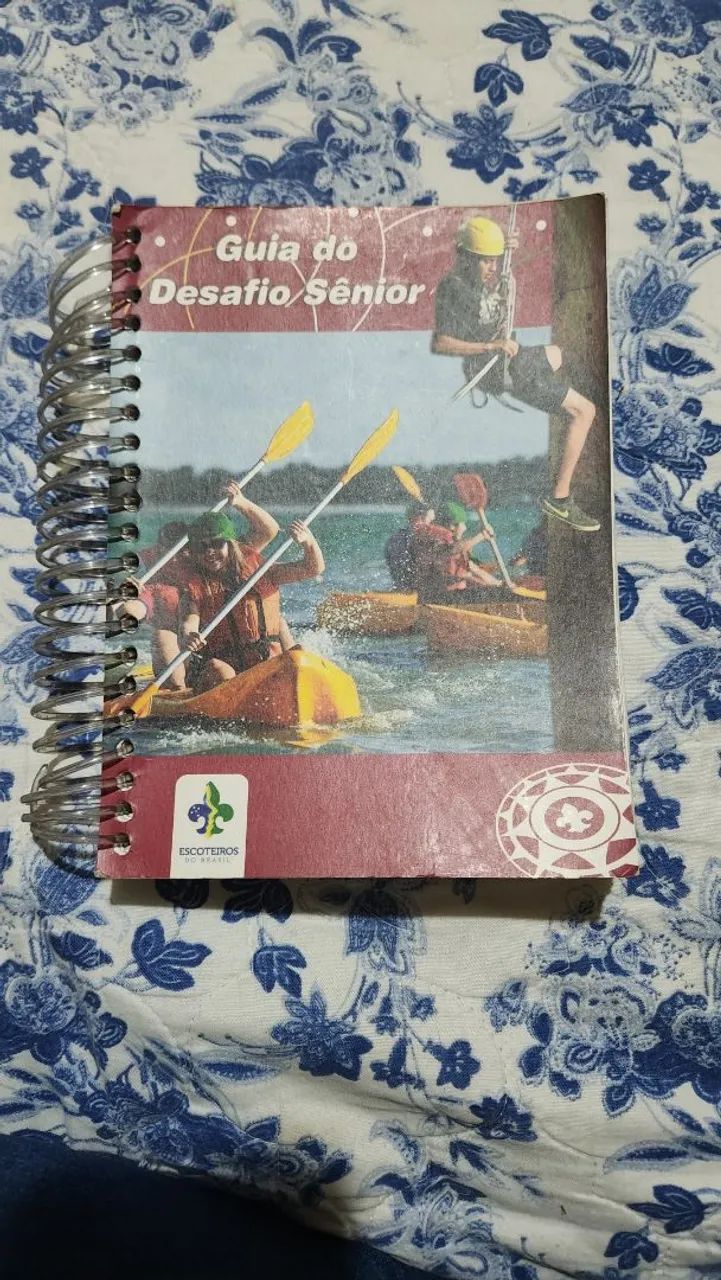 Guia Desafio Sênior 