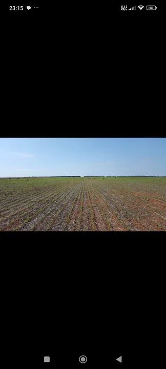 Fazenda 4600hec em gaucha do norte MT.  - Foto 4