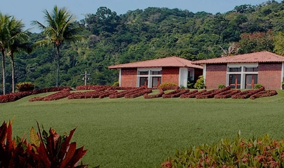 Jardim da Saudade (Paciência) // VENDO JAZIGO SETOR 1