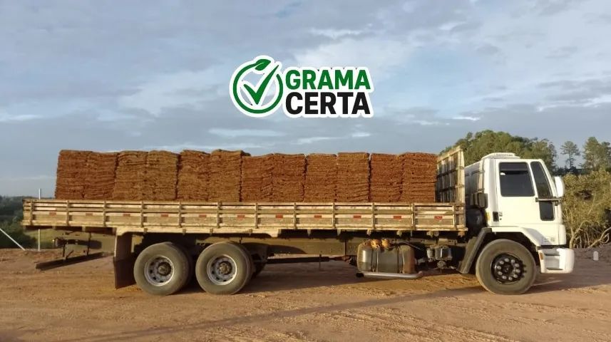 Grama Esmeralda à Venda - Foto 5