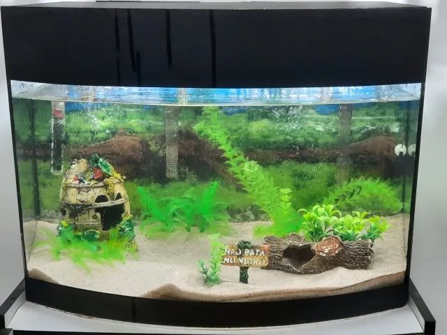 Aquário Curvo lindo 80 litros mais equipamentos, pronto para uso.