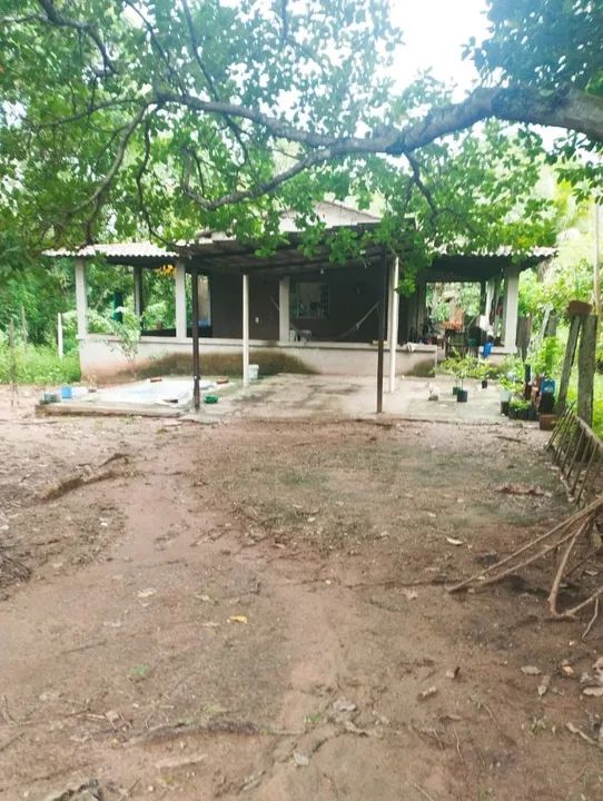 Chácara com casa e área verde - Foto 5