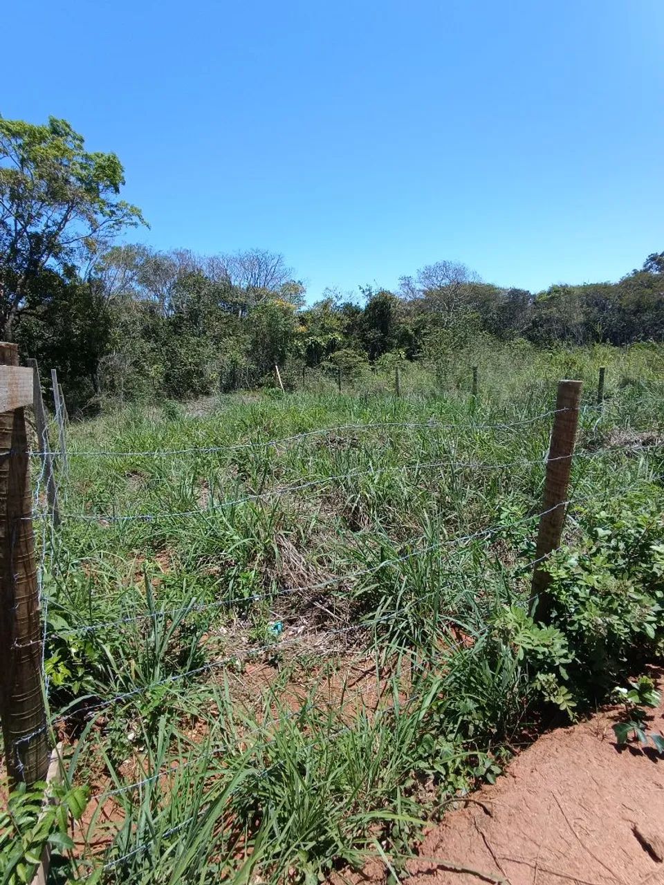 Foto - Armação Dos Búzios - 