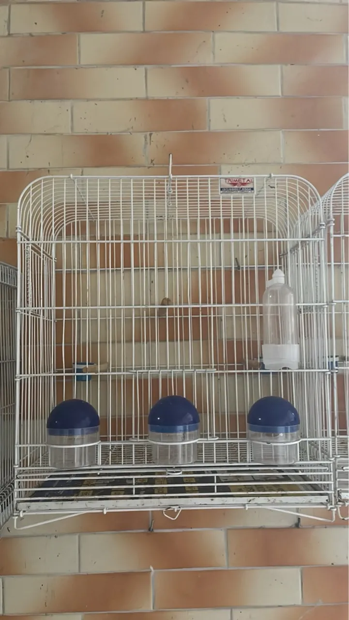 Gaiola de metal Pintura epóxi