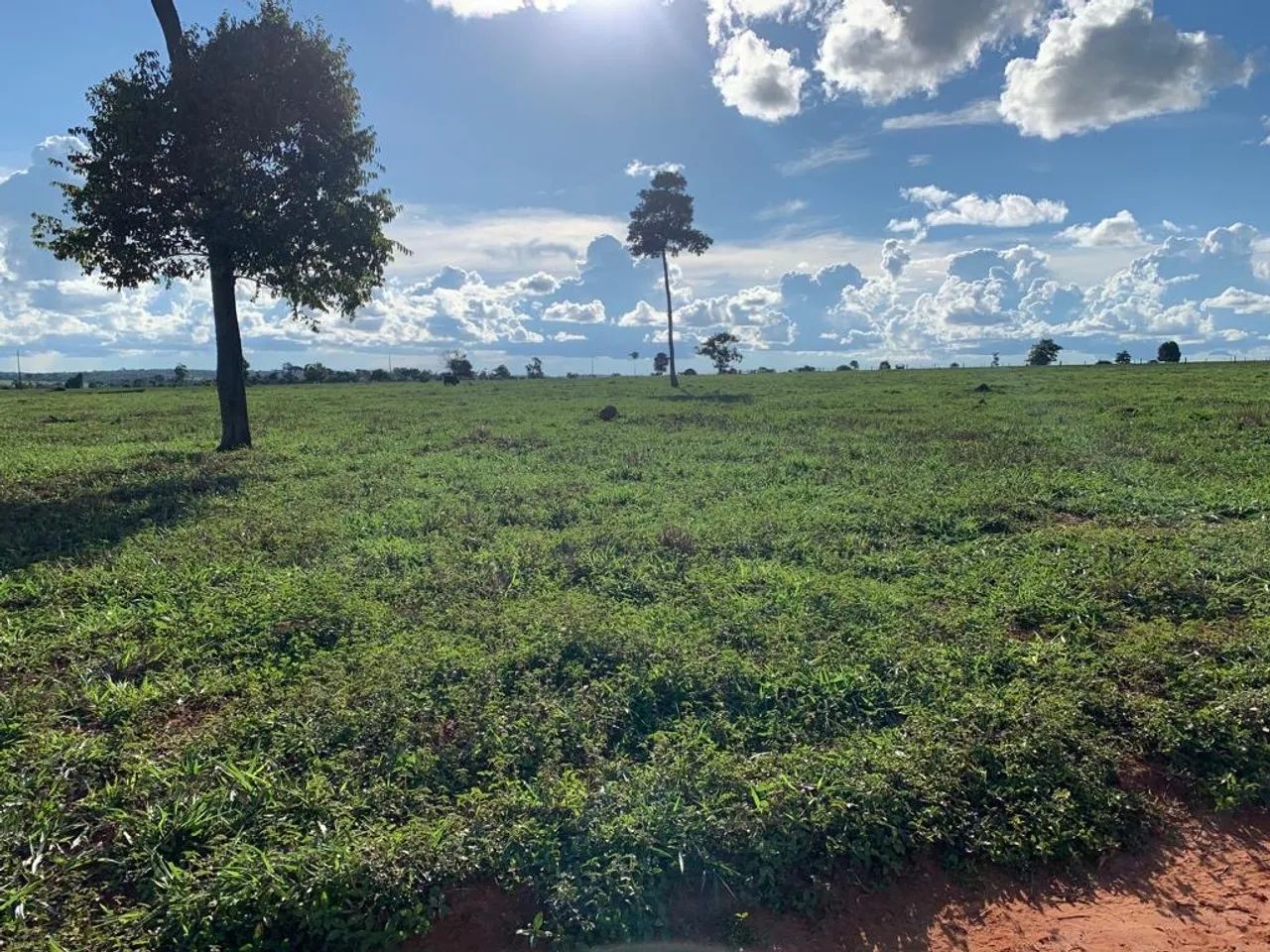 Fazenda 404 ha em Gaúcha do Norte-MT - Foto 4