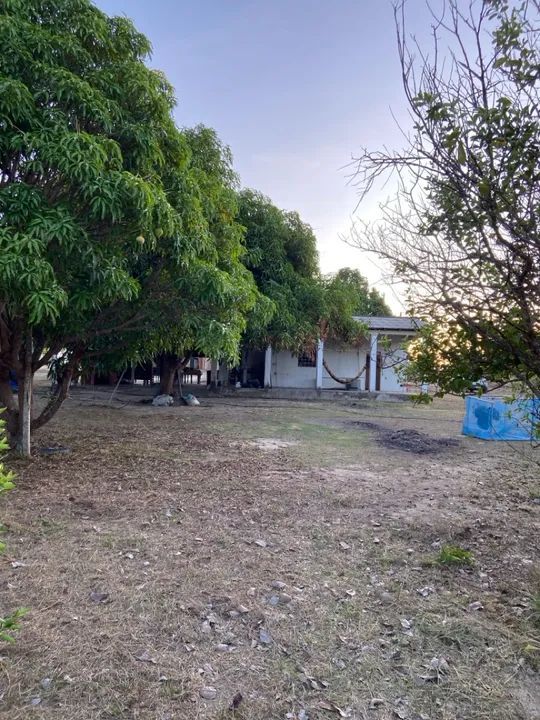 Sítio com casa, igarapé próprio e açude no Bom Intento - Foto 7