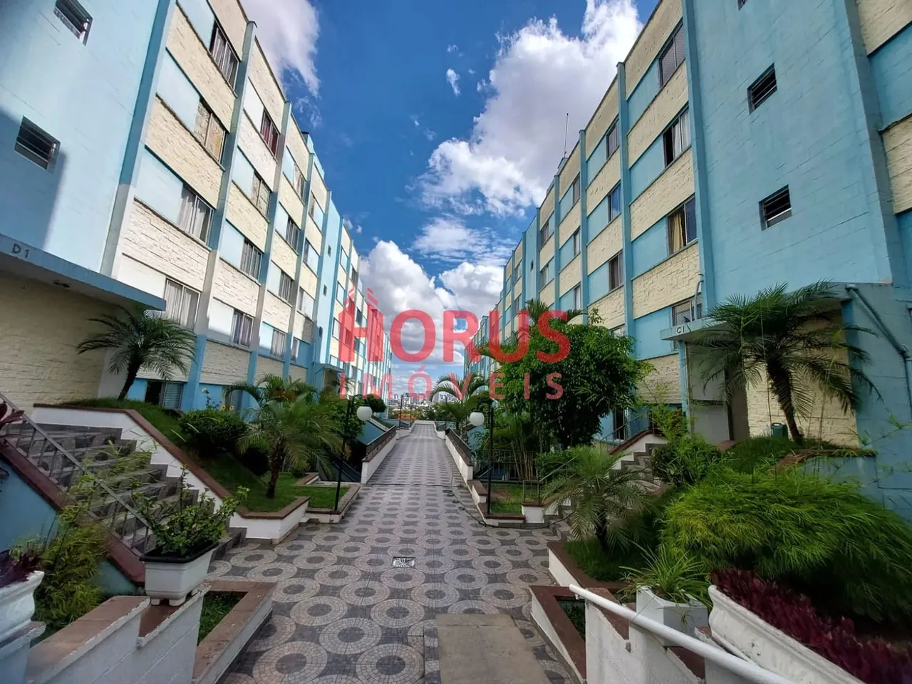 Apartamento para locação, Vila Siqueira (Zona Norte), São Paulo, SP