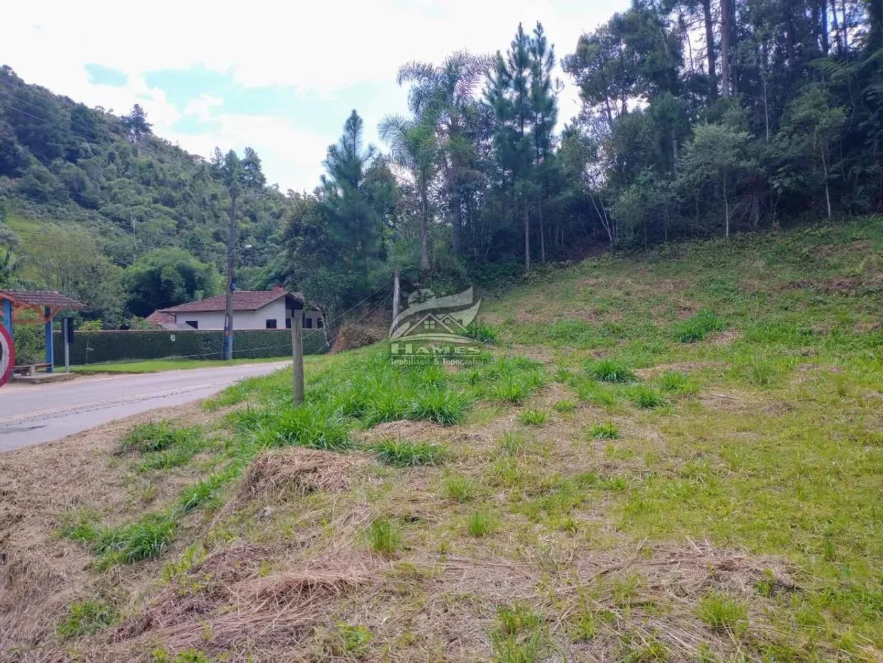 Terreno Rural para Venda em Angelina, PALHOCINHA - Foto 5