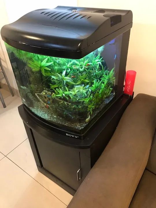 Aquário Boyu-MT 50(80L) - Foto 2