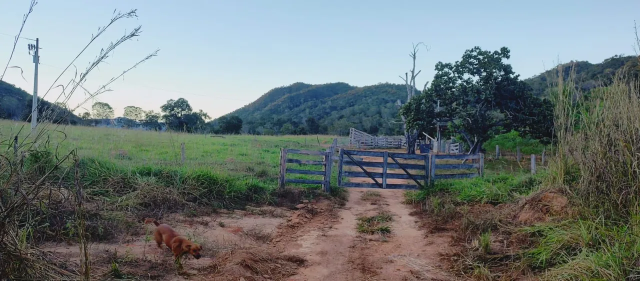 Fazenda de 11 alqueiros