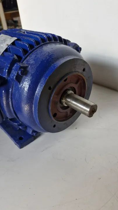 Motor Elétrico Trifásico - Foto 6