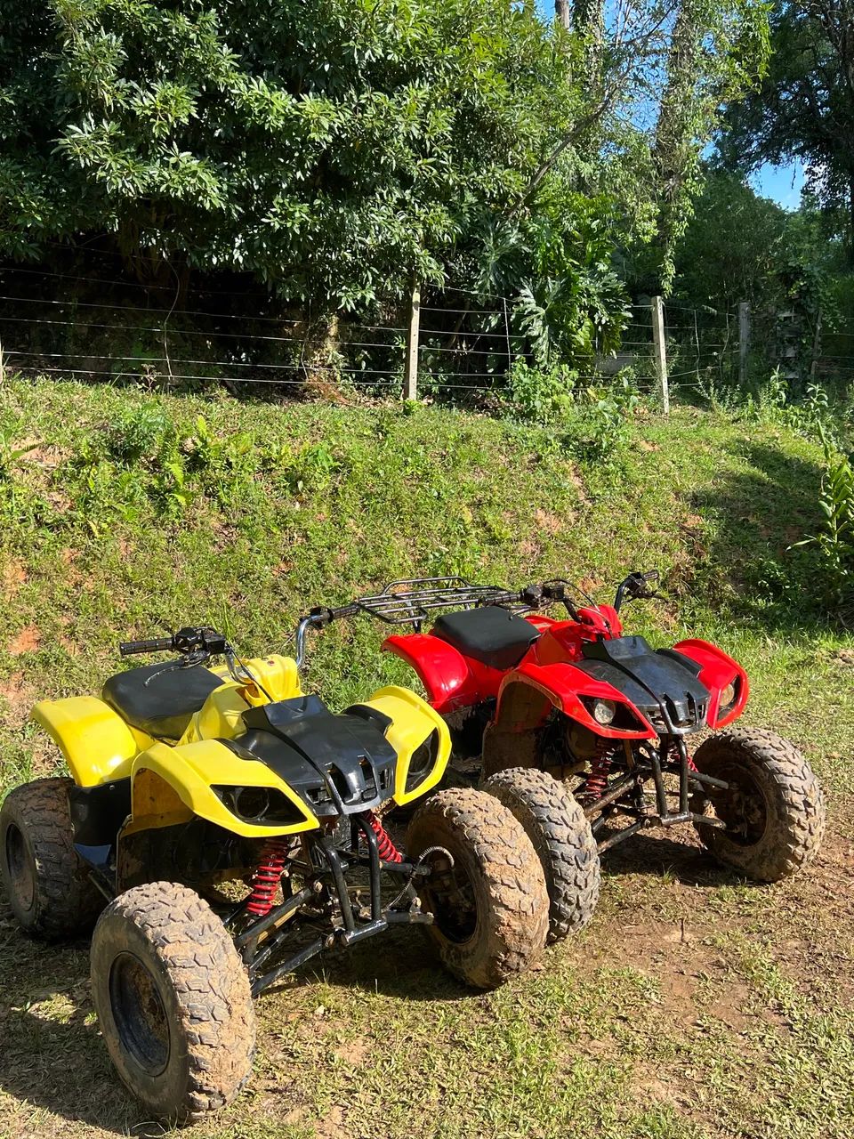 Quadriciclo para Adulto e criança 