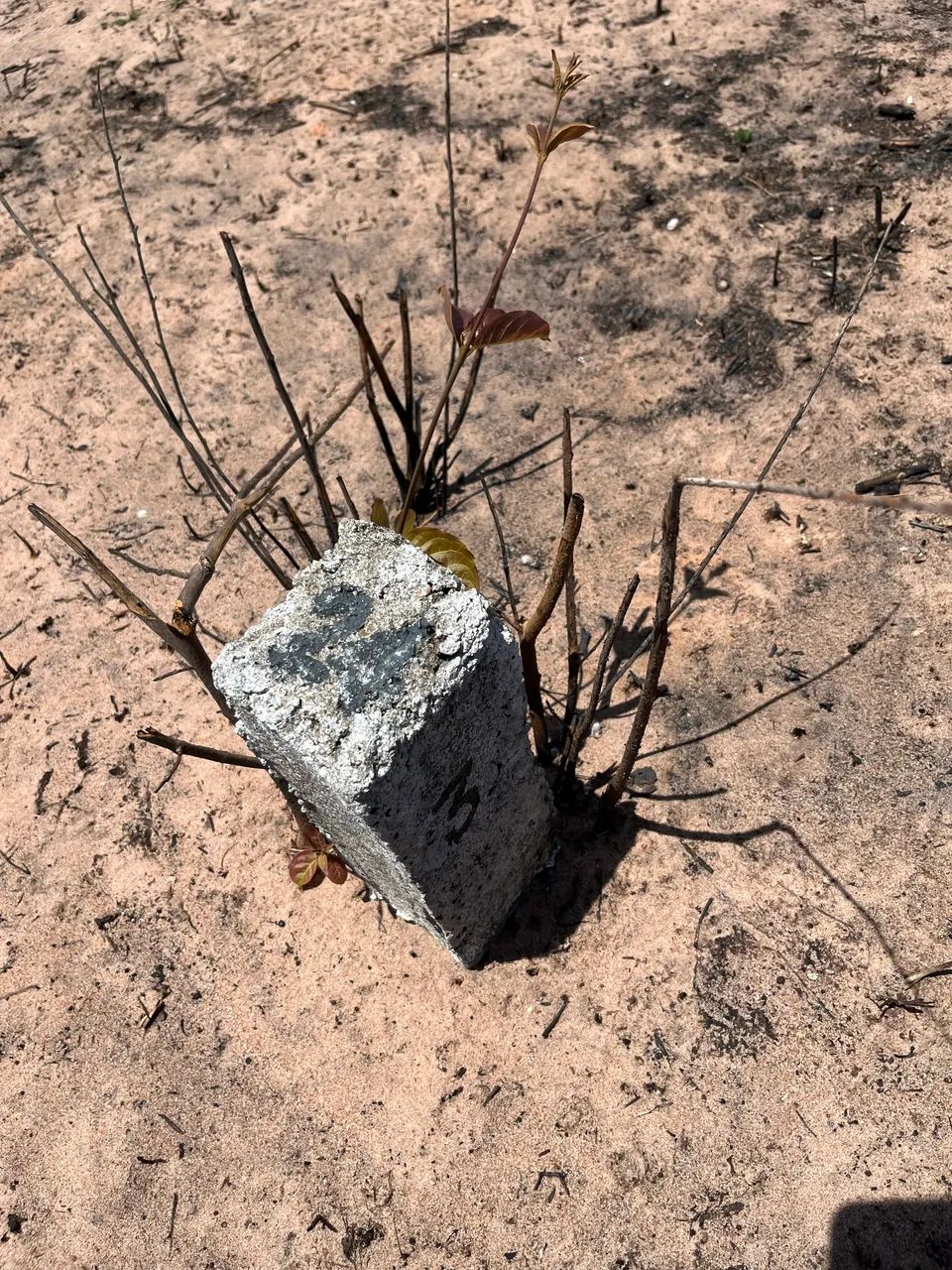 TERRENO NA LAGOINHA CE - DIRETO COM PROPRIETÁRIO  - Foto 11