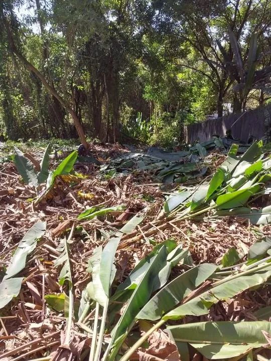Terreno à venda, 1459 m² por R$ 600.000,00 - Granja Viana - Cotia/SP - Foto 5