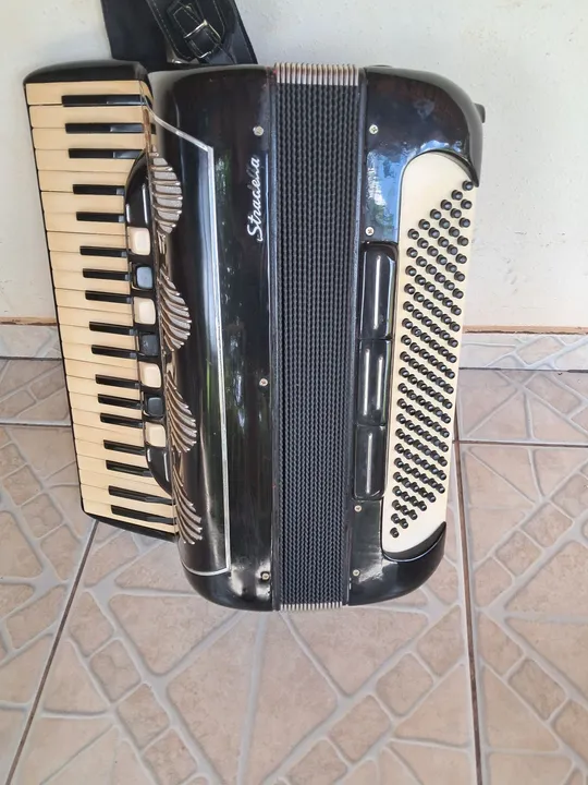 Acordeon / Sanfona