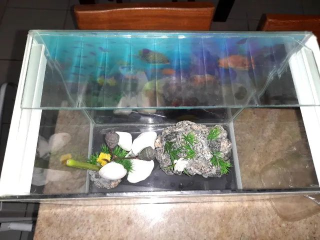 Aquário pequeno com enfeites  - Foto 2