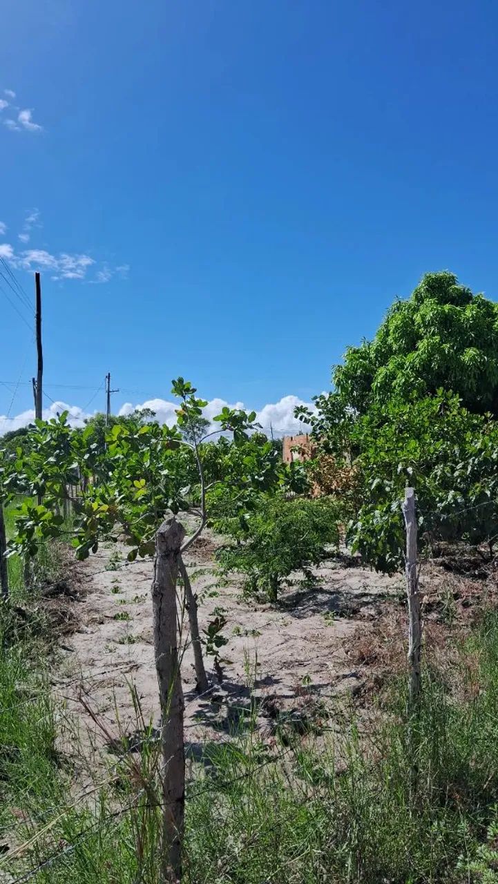 Terreno 900m² - Foto 4