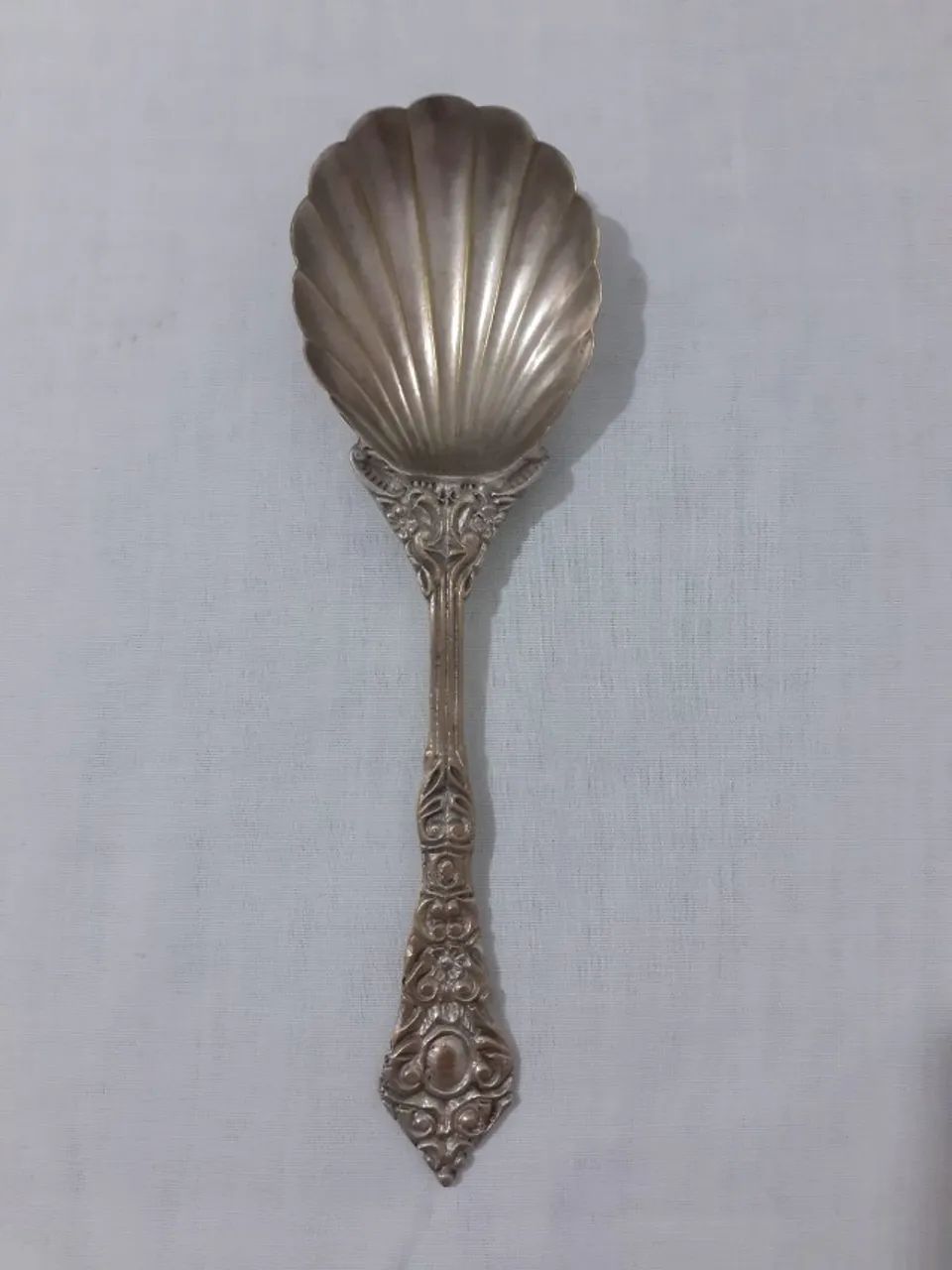 Concha Molheira