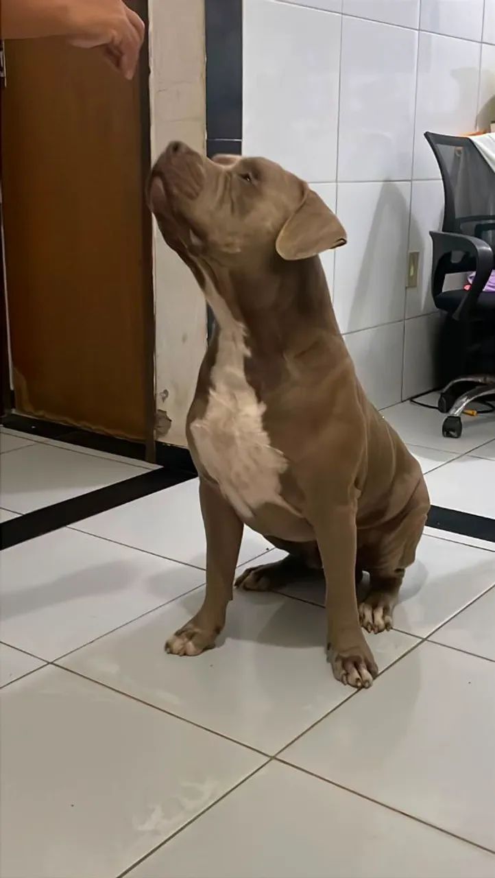 Vende-se  - Foto 3