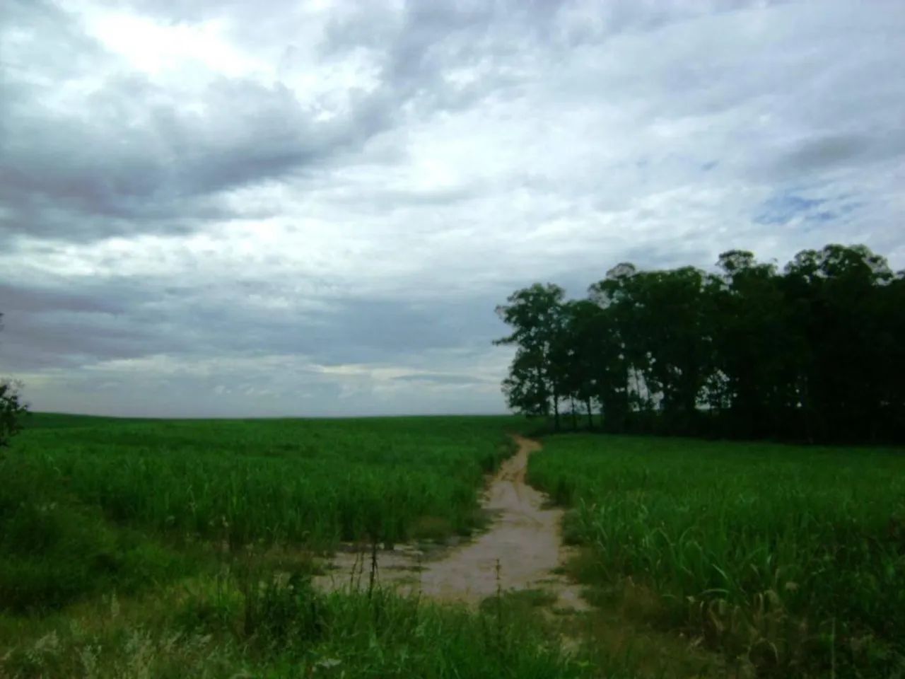 Fazenda à venda em Sumaré, Centro, com 1 quarto - Foto 2