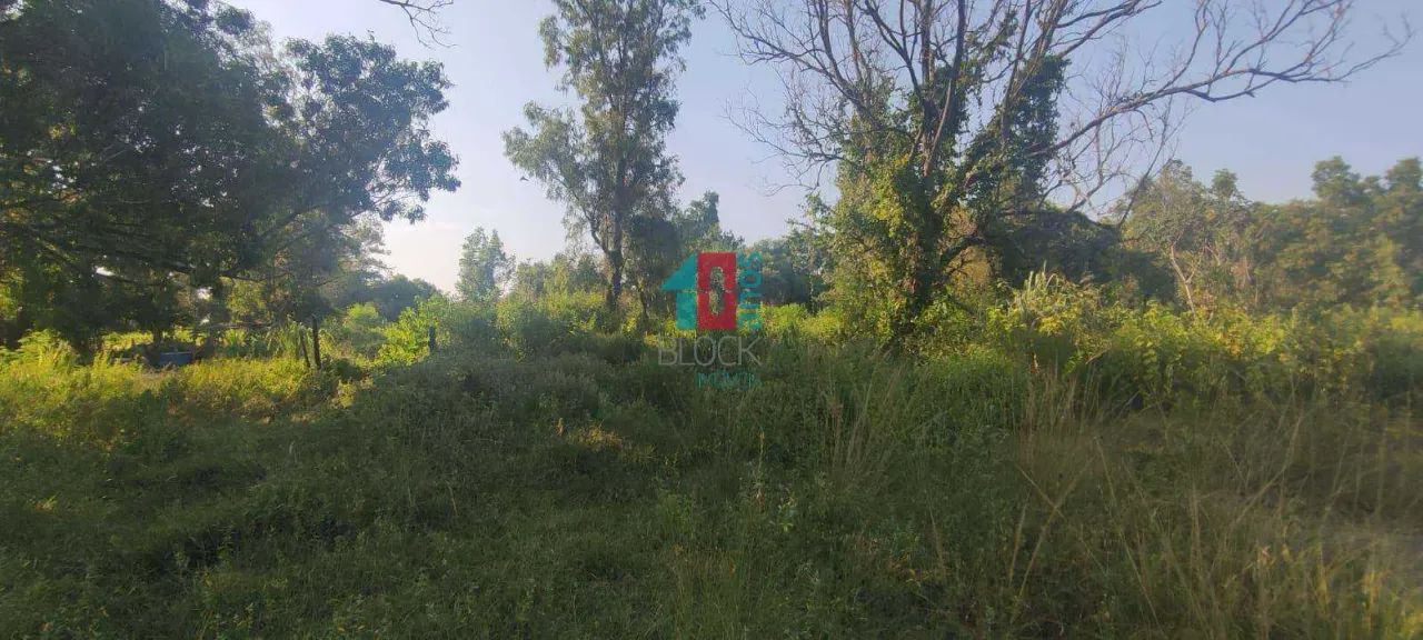 Santa Cruz | Terreno - Foto 3