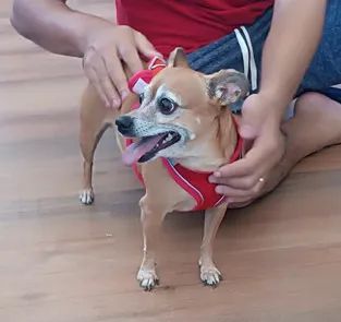 Miniaturas personalizadas em impressão 3D  - Foto 2