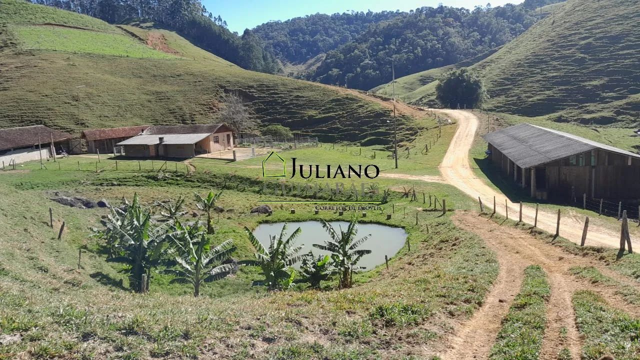 LINDO SÍTIO com 46,2 hectares À VENDA em ANGELINA/SC - Foto 3