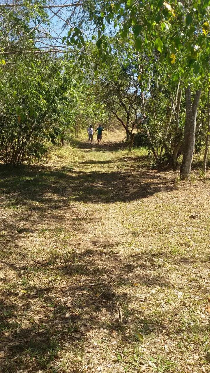 Excelente chácara com nascente  - Foto 4