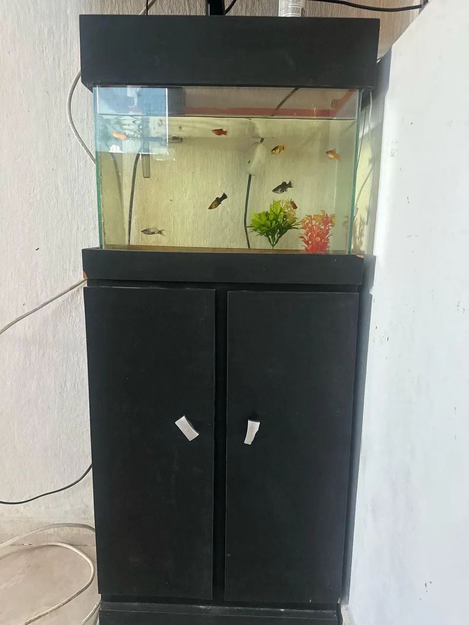 Aquário