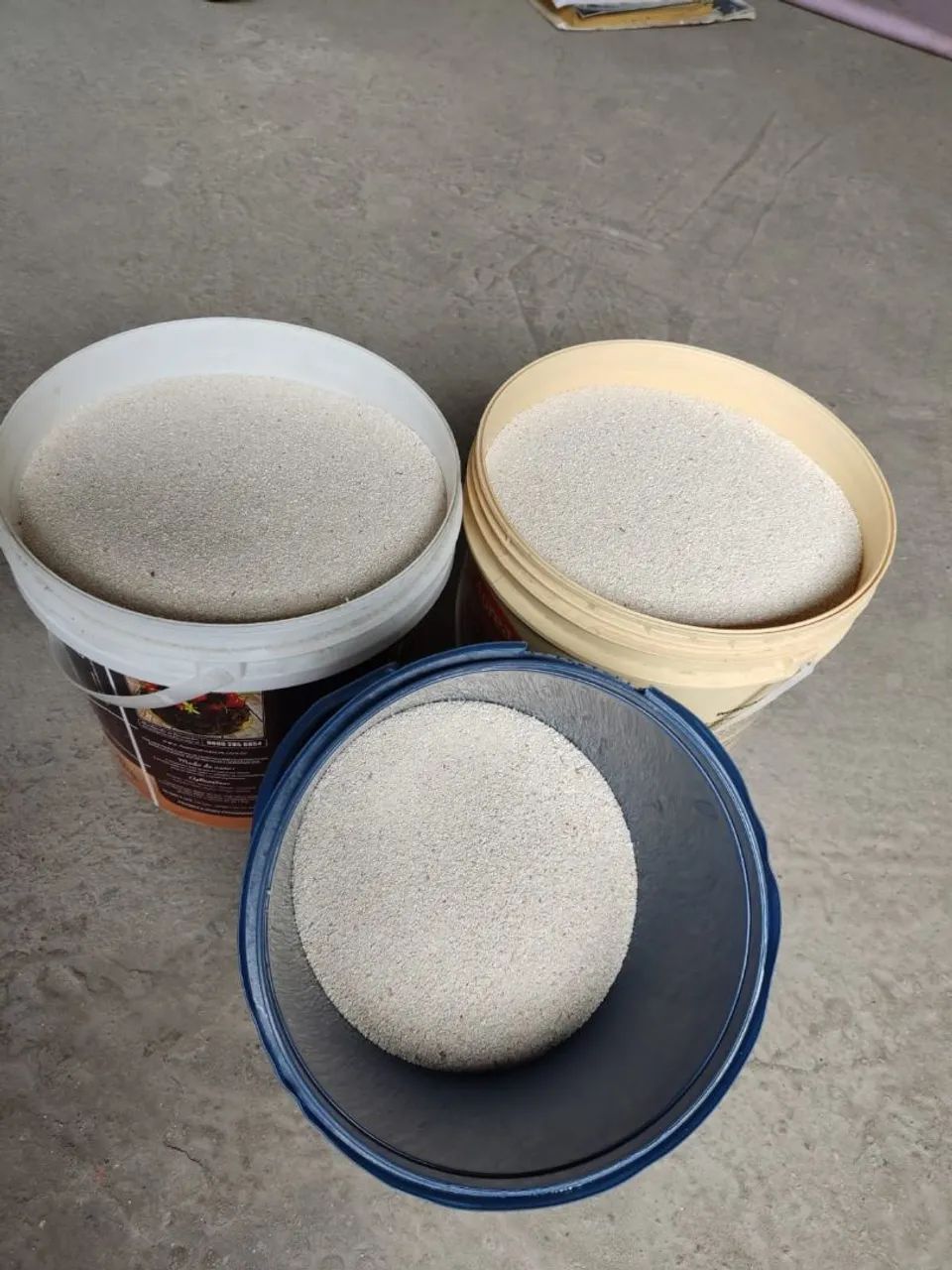 Aquário marinho. - Foto 6