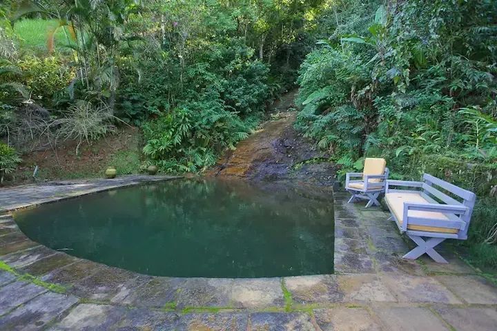 Santo Antônio Sítio na floresta exuberante 5 hectares 4 quartos à venda 1 hora do Rio de J - Foto 7