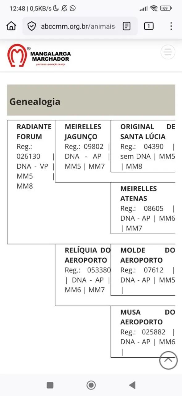 Brutal da Riocon Marcha picada  - Foto 5