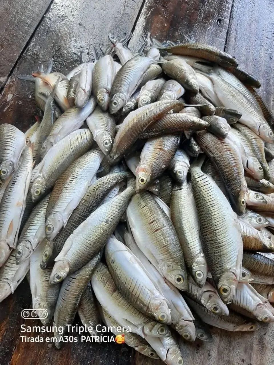 Charutinho  - Foto 3