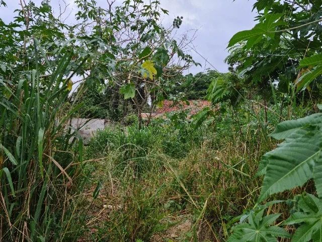 Terreno 450 m², Rua 20, Lote 491, Loteamento Manu Manuela, São José de Imbassaí, Maricá - Foto 9